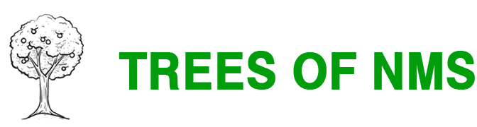  | Trees of NMS